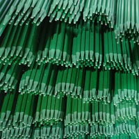 Treillis de soutien pour plantes, piquets de jardin modernes en fibre de verre pour le soutien des plantes et des arbres, support pour plantes grimpantes d'intérieur