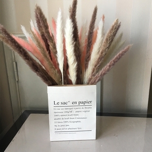 SZ0480 vente <span class=keywords><strong>en</strong></span> gros de Pampas naturelles grises décoration de la maison Pampas Mini herbe de Pampas séchée personnalisée <span class=keywords><strong>en</strong></span> <span class=keywords><strong>vrac</strong></span> - Product Image 3