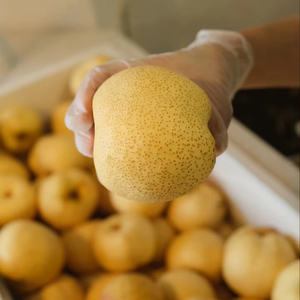 Mứt sức khỏe tự nhiên tinh khiết làm giảm ho làm giảm đau họng làm giảm lửa mùa thu nước sốt Lê mứt đồ uống - Product Image 2