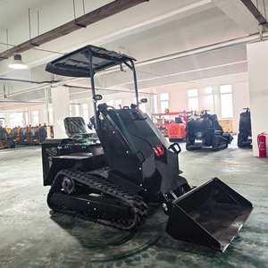 Лидер продаж, дизельный двигатель, мини-погрузчик - Product Image 2