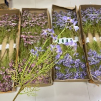 Bunga Krisan Daisy Artifisial Kualitas Tinggi K-0179, Sentuhan Realistis, Bahan PU Lateks Lembut untuk Dekorasi Pusat Meja Pesta Pernikahan
