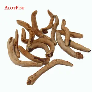 เหยื่อ<span class=keywords><strong>ตก</strong></span><span class=keywords><strong>ปลา</strong></span>แบบแช่แข็งแห้ง รูปทรงอวัยวะเพศชาย สำหรับ<span class=keywords><strong>ตก</strong></span><span class=keywords><strong>ปลา</strong></span>ทะเล - Product Image 3