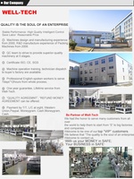 Mesin Pengemas Granul Padat WT6/8-200/300-S Rotary Weighing Filling Line, Mudah Dioperasikan, Akurasi Tinggi, untuk Pengemasan Kantong/Pouch