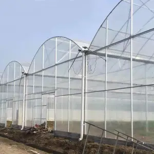 Sainpoly agricoltura casa verde pomodoro idroponica serra di plastica serre per la vendita