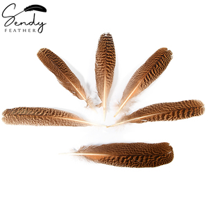 Plumas de pavo real natural barradas y moteadas de 10-12 pulgadas/12-14 pulgadas al por mayor para atado de moscas, sombrerería, manualidades y decoraciones - Product Image 4