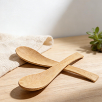 Cuillère en bambou naturel jetable écologique de haute qualité, très vendue, pour café, fêtes, restaurants, vaisselle écologique en bambou