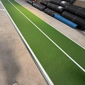 Umax trong nhà nhân tạo <span class=keywords><strong>Turf</strong></span> cỏ nhân tạo đào tạo phòng tập thể dục tầng nhân tạo <span class=keywords><strong>Turf</strong></span> hyrox tổng hợp cỏ <span class=keywords><strong>Turf</strong></span> - Product Image 1