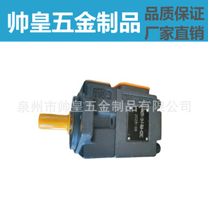 Bomba de paletas PV2R1 PV2R1-19-F-RAA-4326C con instalación de brida, bomba hidráulica accionada por motor - Product Image 3