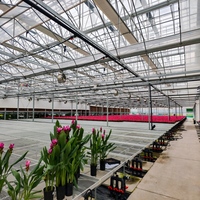 Glazen landbouwkas, intelligente groeitent voor groenten, kasbouw en -constructie, klimaatregeling, kas