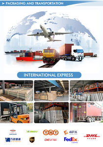 Nouvel équipement vétérinaire pour chiens avec structure fixe pour le séchage du pelage, le bain et <span class=keywords><strong>la</strong></span> table de toilettage pour animaux de compagnie - Product Image 5