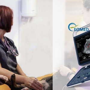 Soluciones Integrales de Sistemas de Imagenología, Escáner de Ultrasonido Doppler Color para Cardiología y Riñón en UCI, Equipo Veterinario CU25vet - Product Image 6