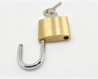 Cadenas en laiton massif de qualité industrielle, haute sécurité pour portail et porte, avec clé passe-partout, logo personnalisé, certifié CE