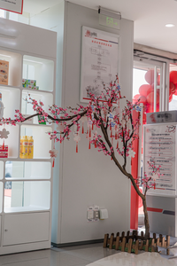 Arbre de <span class=keywords><strong>fleurs</strong></span> artificielles <span class=keywords><strong>en</strong></span> soie, <span class=keywords><strong>fleurs</strong></span> de <span class=keywords><strong>prunier</strong></span> et d'hortensia <span class=keywords><strong>en</strong></span> <span class=keywords><strong>fleurs</strong></span> pour la décoration de la maison, des fêtes et des jardins - Product Image 3