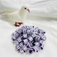 Bagues pour pigeons en aluminium et plastique FCI 2022, fournisseur, couleurs bleues européennes, bagues pour pigeons