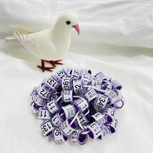 Bagues d'oiseaux FCI, en plastique et en aluminium, <span class=keywords><strong>pour</strong></span> Pigeons, vente en gros/<span class=keywords><strong>2022</strong></span> - Product Image 5