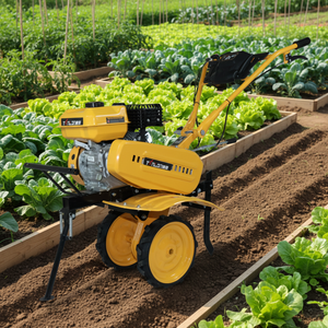 <span class=keywords><strong>Mini</strong></span> cultivadora compacta con tanque de 3.6L para huerto de verduras en el patio trasero, Filipinas - Product Image 1