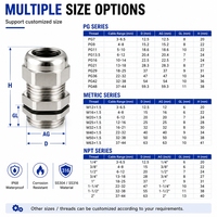 Presse-étoupe étanche M60*1.5 en acier inoxydable avec filetage G NPT en laiton