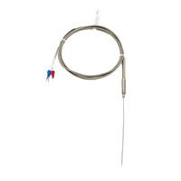 Capteur de température micro-armé ST701-1, précision de classe I, fil métallique de 0,25/0,5/1/1,5 mm pour la mesure de température industrielle en espaces restreints