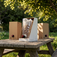 Kit d'emballage de vin en gros jetable avec pochette à bec verseur haute barrière + boîte de transport portable en papier pour boissons liquides en vrac