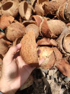 Coquille de noix de coco biologique brute, artisanat floral en provenance du Vietnam - Product Image 5