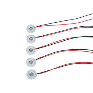 Medical Nebulizer Disc Piezoelectric Ceramics <strong>Microporous</strong> Atomizing Sheet Ultrasonic Transducer Electronic Components - Product Image 4
