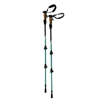 Bâtons de marche en gros OEM/ODM pour la randonnée en montagne, bâtons de trekking d'extérieur