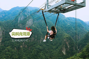 Balançoire élastique <span class=keywords><strong>du</strong></span> <span class=keywords><strong>diable</strong></span> - Product Image 4