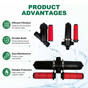 Filtro <span class=keywords><strong>de</strong></span> pantalla para <span class=keywords><strong>riego</strong></span> agrícola DAYU, filtro <span class=keywords><strong>de</strong></span> malla 120, <span class=keywords><strong>riego</strong></span> por goteo, filtro <span class=keywords><strong>de</strong></span> pantalla tipo Y <span class=keywords><strong>de</strong></span> 2 pulgadas - Product Image 1