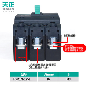 เท็นเก้น ทีจีเอ็ม1เอ็น-125แอล/3300 เซอร์กิตเบรกเกอร์แบบโมลด์เคส 100a 3p ทริปแม่เหล็กแบบเทอร์มอล 415v แรงดันต่ำ - Product Image 3