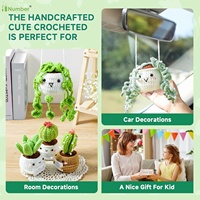 Adultes personnalisés chauds tous les âges débutants leçons vidéo faciles plantes en pot succulentes famille accessoires fil Crochet Kit