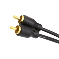 Câble audio stéréo de voiture Offre Spéciale d'usine prise 2R-2R avec faisceau de câblage de connecteurs RCA pour amplificateur Refit