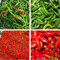 Ligne de production de piment rouge, machine de fabrication de poudre de piment, machines à poudre de piment de Cayenne et de paprika