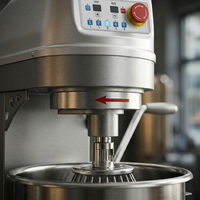 Nouveau batteur planétaire commercial avec bol en acier inoxydable, multifonctionnel, 5 vitesses, pour les produits de boulangerie à base de farine, de lait et d'eau