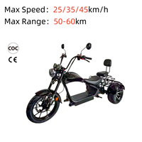 EEC COC 2000W Arazi Tipi Şişman Lastikli 3 Tekerlekli Elektrikli Scooter Yetişkinler İçin Chopper Citycoco Sokakta Kullanıma Uygun Yüksek Performanslı E-Trike 2 Kişilik