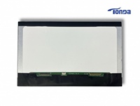 Panel de Pantalla LCD de 15.6 Pulgadas, IPS, Ángulo de Visión Completo, Pantalla para Portátil de 15.6 Pulgadas, 1920*1080 FHD, Módulo de Pantalla LCD EDP