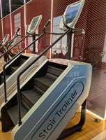 Machine d'escalier, équipement de Fitness, vente en gros, maître d'escalier Commercial de haute qualité pour la maison