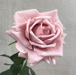 Rose Artificiali Real Touch per Decorazioni Matrimoniali Autunnali, Eventi e Feste - Fornitura all'Ingrosso - Product Image 3