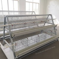 Système d'alimentation automatique pour cages à poules pondeuses QIANQIN, en fil d'acier à faible teneur en carbone, équipement d'élevage avicole, cage en batterie pour poules pondeuses 5+