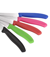 Vente en gros mini couteau de poche de cuisine en acier inoxydable de haute qualité couteau utilitaire avec manche en plastique pour désosser le poisson