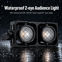 Projecteur de scène à 2 yeux 2x200W COB LED IP65 étanche, haute fidélité des couleurs (CRI), contrôle DMX pour événements extérieurs, concerts et scènes