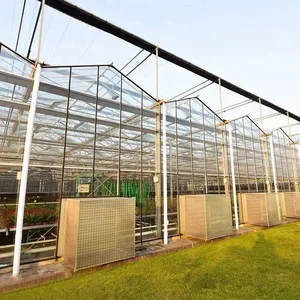 Hot sale green house metal frame agriculture multi span greenhouse farm for leaf vegetables