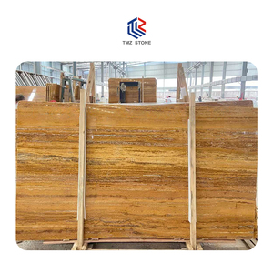 TMZ STONE OEM ODM, Panel de Pared de Granito Negro Pulido para Decoración de Hoteles de Lujo, Azulejo de Diseño Moderno, Tamaños Personalizados, Uso en Exteriores - Product Image 1