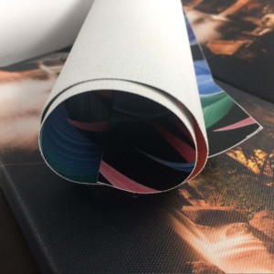 ผ้าใบโพลีเอสเตอร์คุณภาพสูง 320gsm แบบด้าน สำหรับเครื่องพิมพ์ Canon IPF - Product Image 6