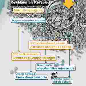Litière pour chat à faible teneur en poussière (99 %) avec charbon actif pour chat de tous âges - OEM/ODM disponible - Product Image 5
