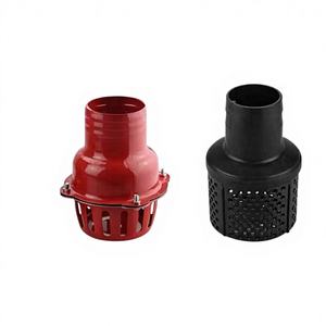 Pompe à eau à moteur à essence avec entrée de 2 pouces, avec clapet anti-retour WP20 et filtre de type panier, valve de base incluse - Product Image 5