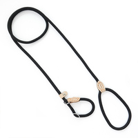 Laisse pour chien de haute qualité pour chiens de grande taille pour la promenade des chiens