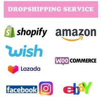 Partenaire Tiktok Ebay Facebook Shopify Services FBA Fournisseur de dropshipping Meilleure qualité Meilleur fabricant de lampes de poche
