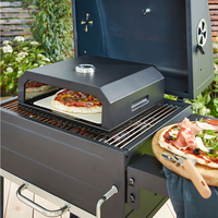 SEJR — four à Pizza Portable d'extérieur, avec Grill au gaz, en bois