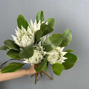 Flores artificiales populares Protea de tallo grande flocado Protea flor para decoraciones del hogar del banquete de boda - Product Image 2