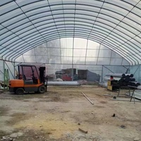 Grande serre de jardin en PVC à haut tunnel de plain-pied pour la conservation de la chaleur Protection contre la pluie pour les légumes Fruits Grains de Thaïlande